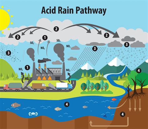 What Does Air Pollution Cause Acid Rain